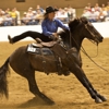 <i>Wild Horse, Wild Ride</i>