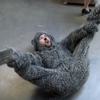 <i>Wilfred</i> Review: “Dignity” (Episode 2.02)