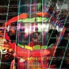 Listen to Animal Collective's Second Radio Show