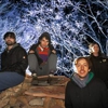 Animal Collective Picks Meat Puppets, Ariel Pink, Many More for ATP