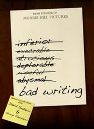 <i>Bad Writing</i> Documentarians Talk Advice, Inspiration