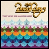 The Beach Boys: <i>That's Why God Made the Radio</i>