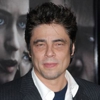 Benicio Del Toro in Talks for Paul Thomas Anderson-Directed <i>Inherent Vice</i>