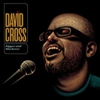 David Cross to Get <em>Bigger and Blackerer</em> in May
