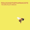 Celebrate Ted Leo's New Album With Karaoke Backed by Ted Leo