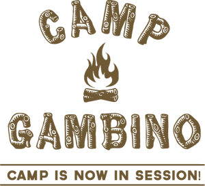 Childish Gambino Announces Spring Tour Dates