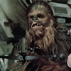 Biopic About Chewbacca Actor Peter Mayhew in the Works