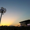 Coachella Festival Could be Delayed Next Year