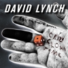 Listen to New David Lynch Track Featuring Karen O