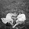 Wild Cub: <i>Youth</i>