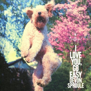 Devon Sproule: <i>I Love You, Go Easy</i>