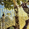 Dinosaur Feathers: <i>Whistle Tips</i>