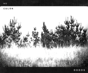 The Dodos Team Up With Neko Case for Upcoming Album