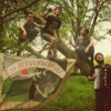 The Felice Brothers Release New Collection, <i>God Bless You, Amigo</i>