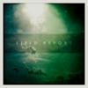 Field Report: <i>Field Report</i>