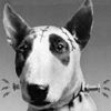Salute Your Shorts: Tim Burton's Short Films (Part 2, 1983-2010)