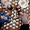 Grizzly Bear Featured Prominently at Sundance