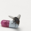 Red Hot Chili Peppers Debut New Single