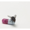 This Week’s New Album Releases (8/30/2011)