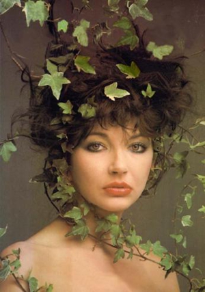 Kate Bush Working on New Record