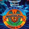 2010 Mountain Jam Festival to Feature Ray LaMontagne, Dr. Dog, Alison Krauss & Union Station, More