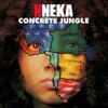 Nneka: <em>Concrete Jungle</em>