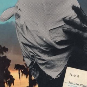 Orenda Fink: <em>Ask the Night</em>