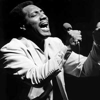 Stax Readies Otis Redding's <em>Live on the Sunset Strip</em>