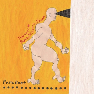 Listen to Yuck Side-Project Parakeet’s New Single
