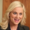 <em>Parks and Recreation</em>: "Live Ammo" (4.19)