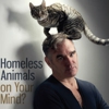 Morrissey Appears in PETA Ad With Cat on His Head