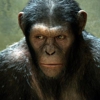 Fox Confirms Sequels to <i>Rise of the Planet of The Apes</i> and <i>X-Men: First Class</i>