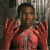 <em>Community</em>'s Donald Glover Campaigns for Spider-Man Role