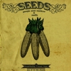 Georgia Anne Muldrow & Madlib: <i>Seeds</i>