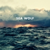 Listen to Sea Wolf's New Song "Old Friend"