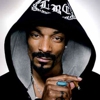 Snoop Dogg Banned From Norway for Two Years Following Marijuana Possession Charges