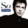 Peter Gabriel Announces <i>So</i> 25th Anniversary Tour