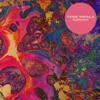 Listen to Tame Impala's New Single, "Elephant"