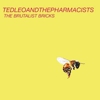 Ted Leo and the Pharmacists: <em>The Brutalist Bricks</em>