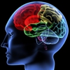 New Study Suggests Teens Can Predict Hits