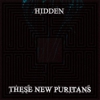 These New Puritans: <em>Hidden</em>