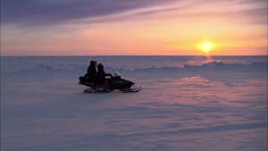 <em>An Idiot Abroad</em>: "Whale Watching" (2.4)