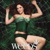<em>Weeds</em>: Season 5 DVD Review