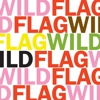 Listen to a New Track From Wild Flag
