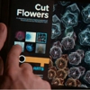 Digital Edition of <i>Wired</i> Available on iPad