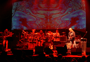 Bonnaroo 2004 Lineup