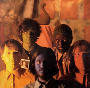 Olivia Tremor Control Reunites