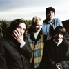 Red Hot Chili Peppers Recording Afro-Pop Album?