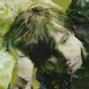 Ryan Adams: The View from the Plateau