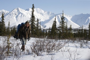 Into The Wild